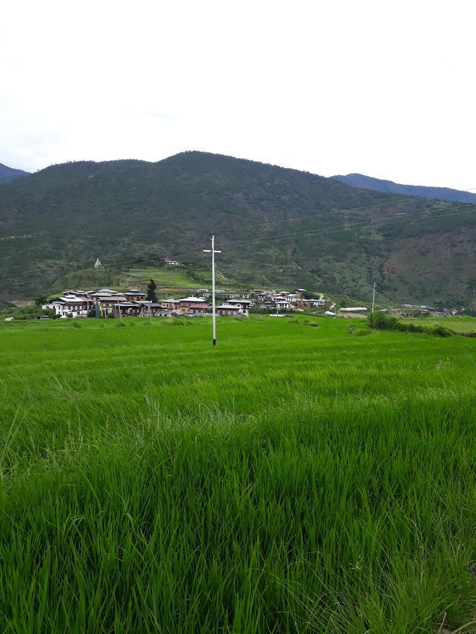 Chimi Lhakhang Village Homestay プナカ エクステリア 写真